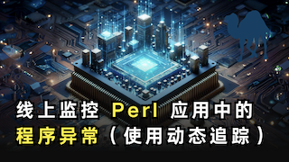 线上监控 Perl 应用中的程序异常（使用 OpenResty XRay）