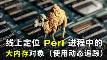 線上定位 Perl 程序中的大記憶體物件（使用 OpenResty XRay）
