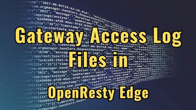 Configuring gateway access log files in OpenResty Edge