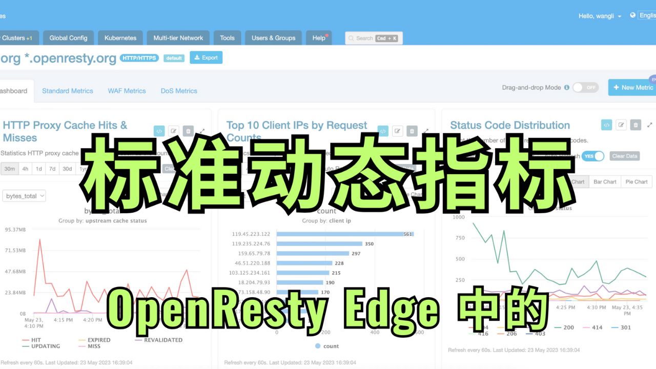 如何在 OpenResty Edge 中使用標準動態指標