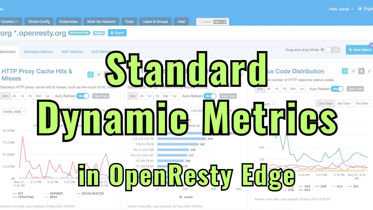 How to use standard dynamic metrics in OpenResty Edge