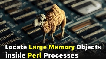 Locate Large Memory Objects inside Perl Processes (using OpenResty XRay)