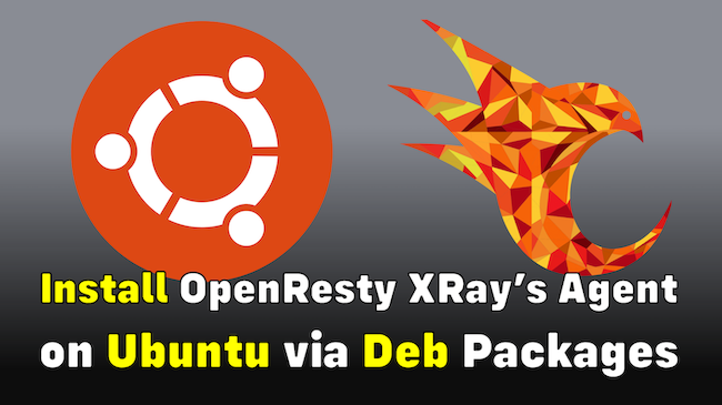 Install OpenResty XRay’s Agents on Ubuntu via Deb Packages