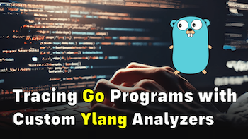 Dynamic-Tracing Custom Go Programs with Custom Ylang Analyzers (using OpenResty XRay)
