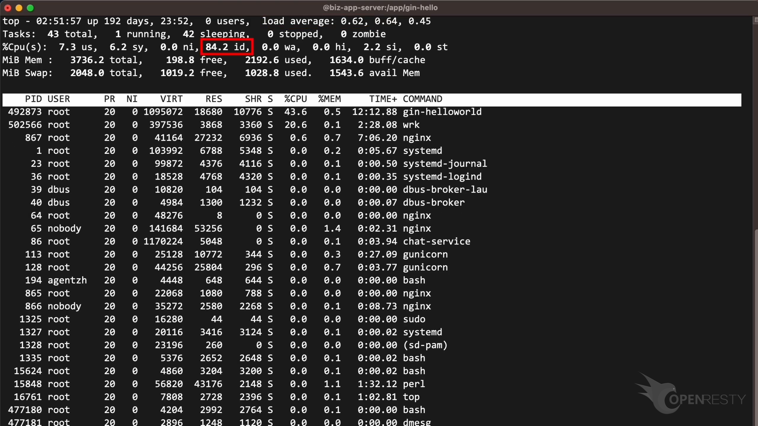 Go プロセスベースライン