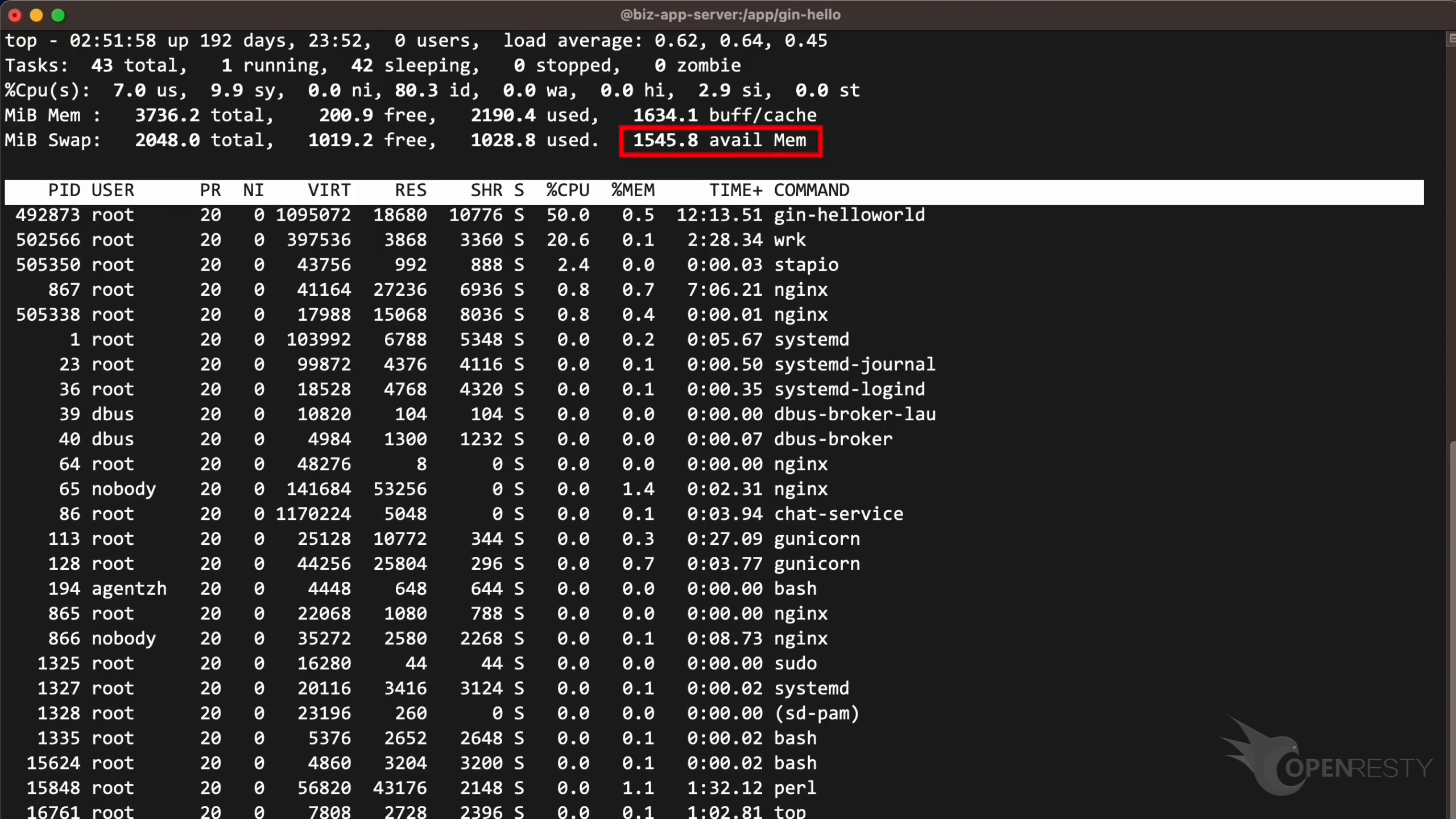 Go プロセスベースライン